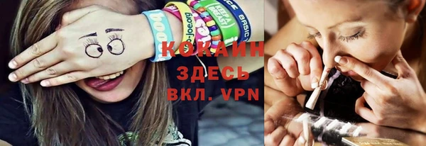 прущие грибы Богородск