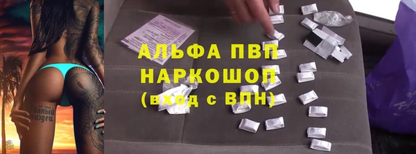 гидропоника Белокуриха